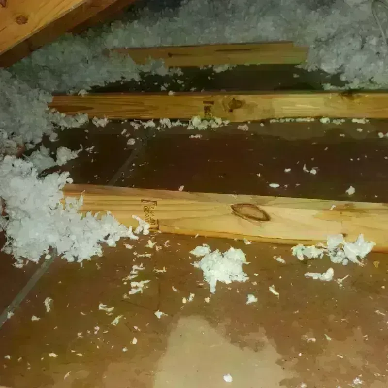 Attic Water Damage in Eglin Air Force Base, FL